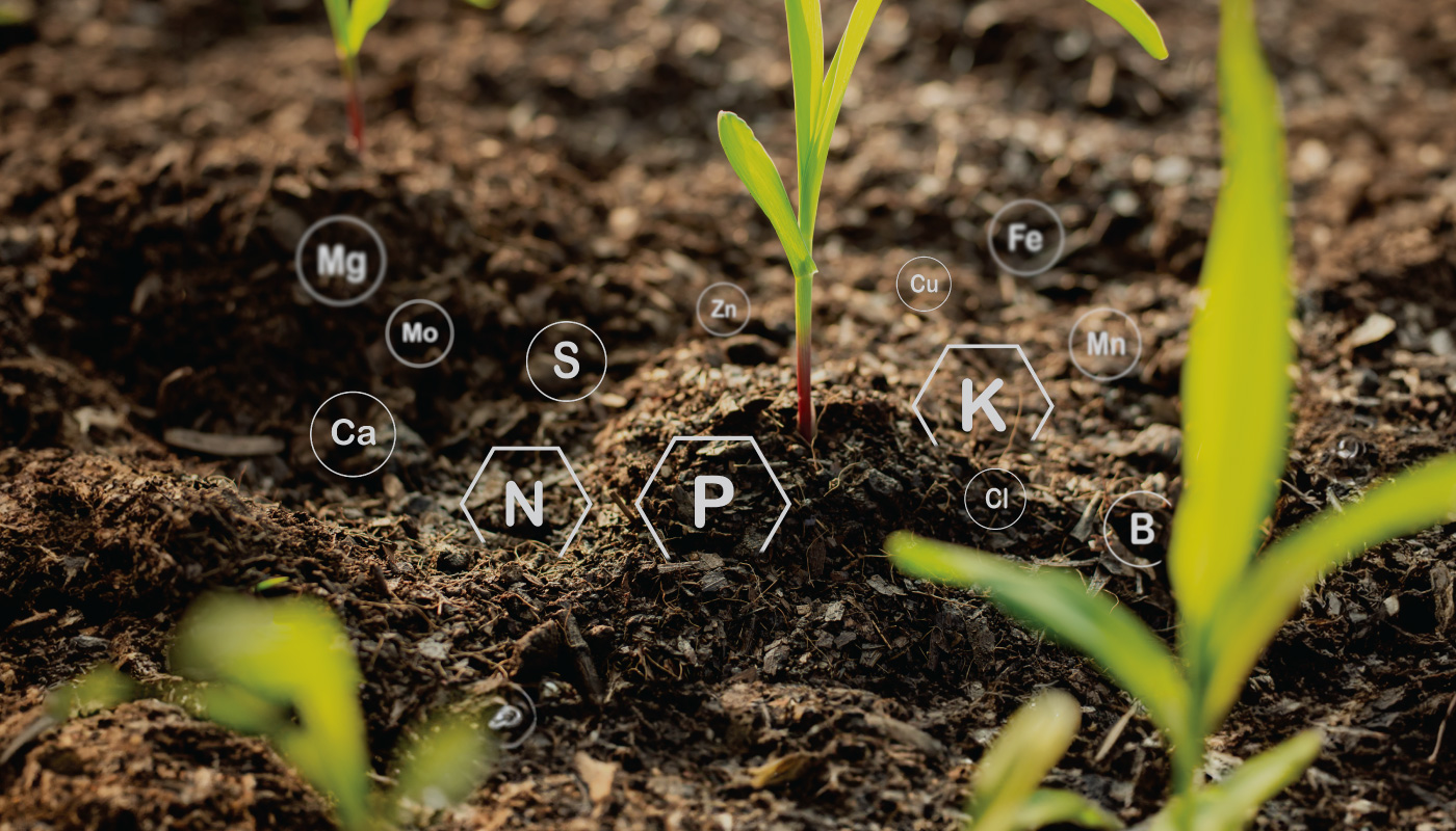 Farmcochem-Crop-Nutrition