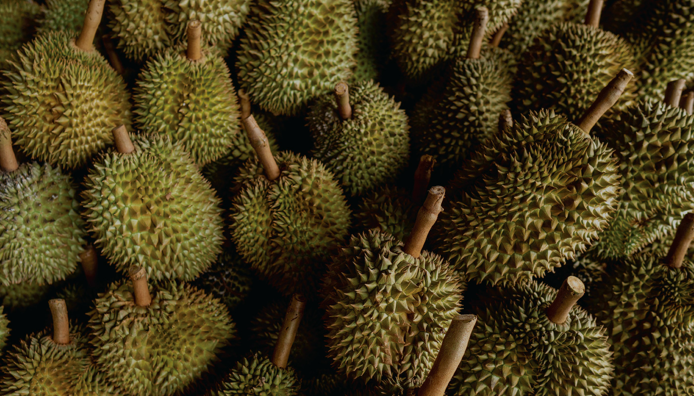 Farmcochem-Products-Solutions-Fruit-Tree-B3