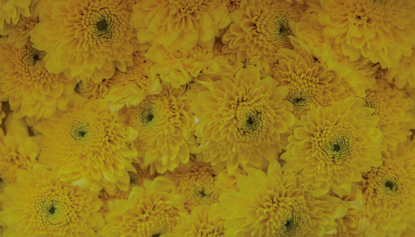 Farmcochem-Products-Solutions-Ornamental-B2