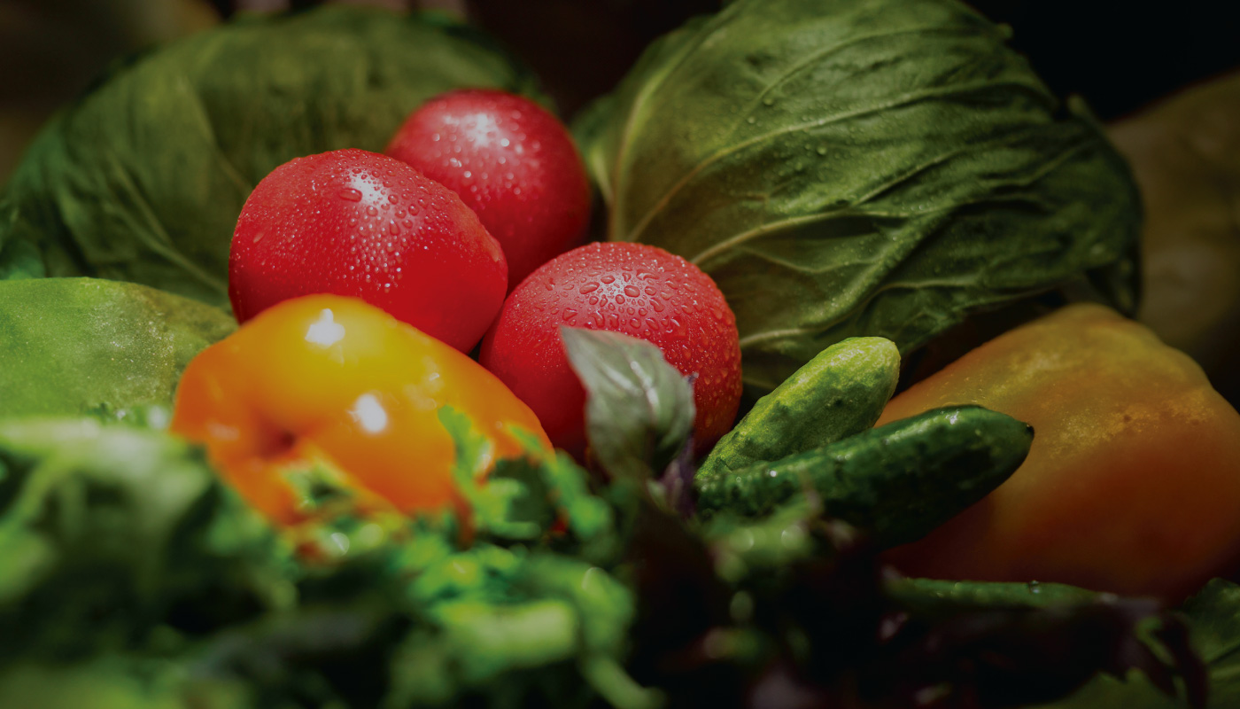 Farmcochem-Products-Solutions-Vege-B2